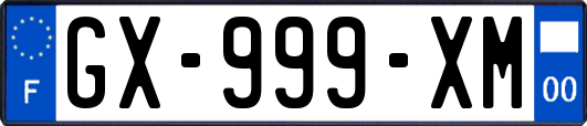 GX-999-XM