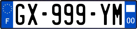 GX-999-YM