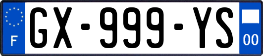 GX-999-YS