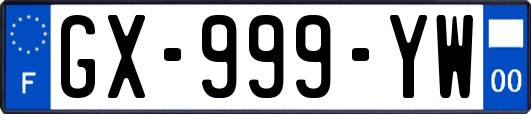 GX-999-YW