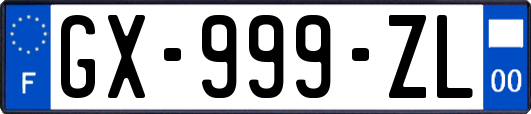 GX-999-ZL
