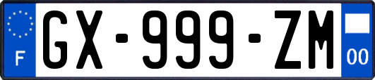 GX-999-ZM