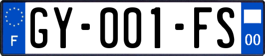 GY-001-FS