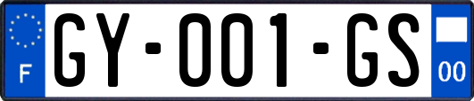 GY-001-GS