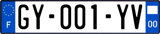 GY-001-YV