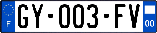GY-003-FV