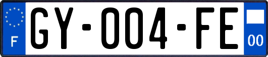 GY-004-FE