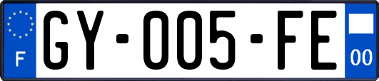 GY-005-FE