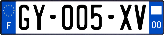 GY-005-XV