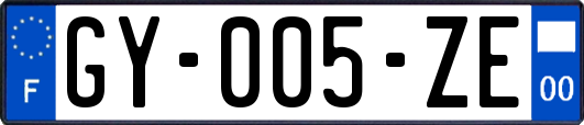 GY-005-ZE