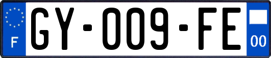 GY-009-FE