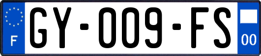 GY-009-FS