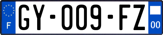 GY-009-FZ