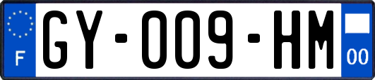GY-009-HM