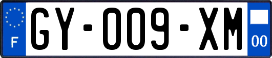 GY-009-XM