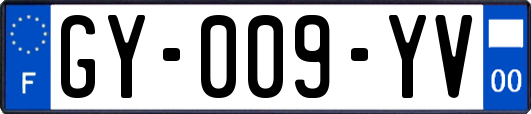GY-009-YV