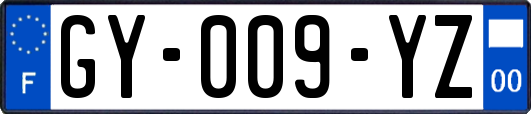 GY-009-YZ
