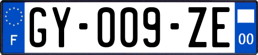 GY-009-ZE