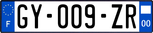 GY-009-ZR