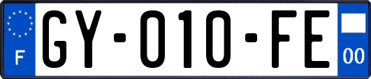 GY-010-FE