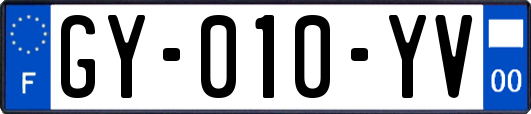 GY-010-YV
