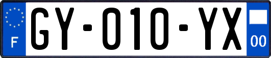 GY-010-YX