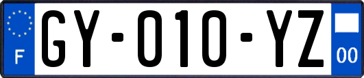 GY-010-YZ
