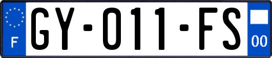 GY-011-FS
