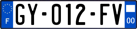 GY-012-FV