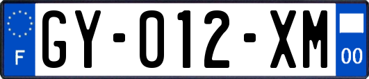 GY-012-XM