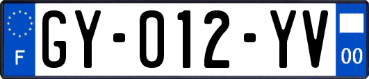 GY-012-YV