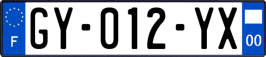 GY-012-YX