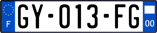 GY-013-FG