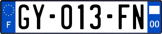 GY-013-FN