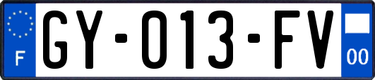 GY-013-FV