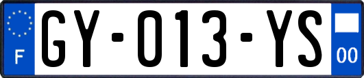 GY-013-YS