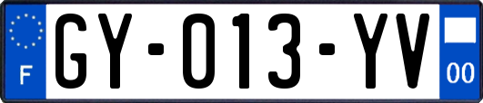 GY-013-YV