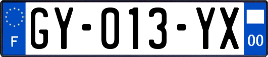 GY-013-YX