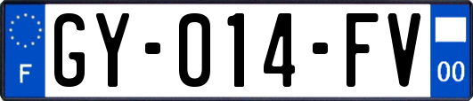 GY-014-FV