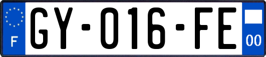 GY-016-FE