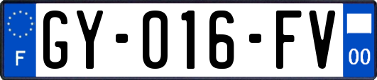 GY-016-FV