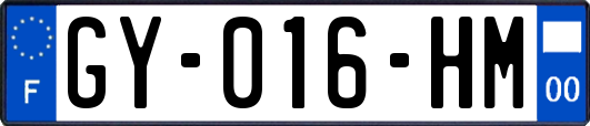 GY-016-HM