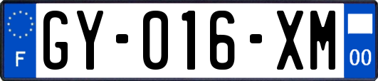 GY-016-XM