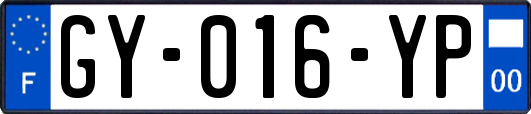 GY-016-YP