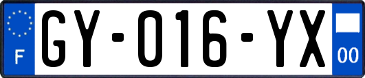 GY-016-YX