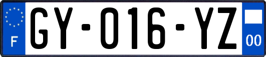 GY-016-YZ
