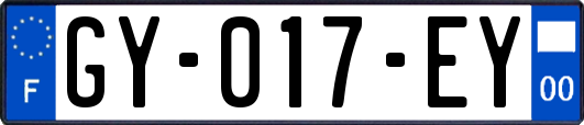 GY-017-EY