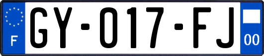 GY-017-FJ