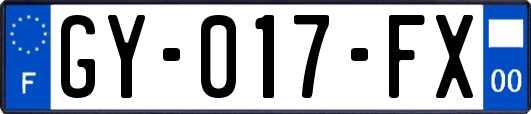 GY-017-FX