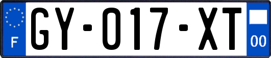 GY-017-XT